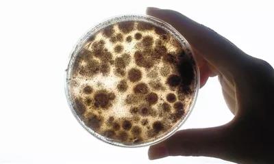 微信圖片_20211126143122