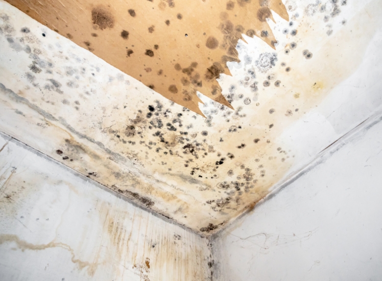 微信截圖_20250322100059