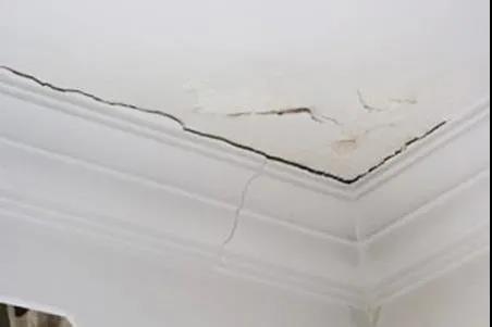 微信圖片_20210903130956