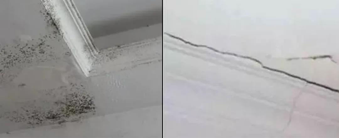 微信圖片_20210723095447