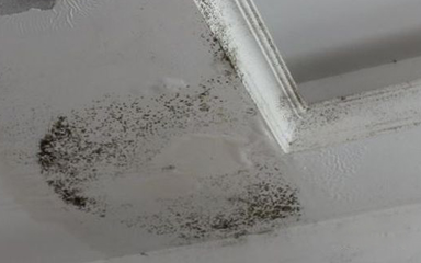 馬迪羅耐潮石膏板